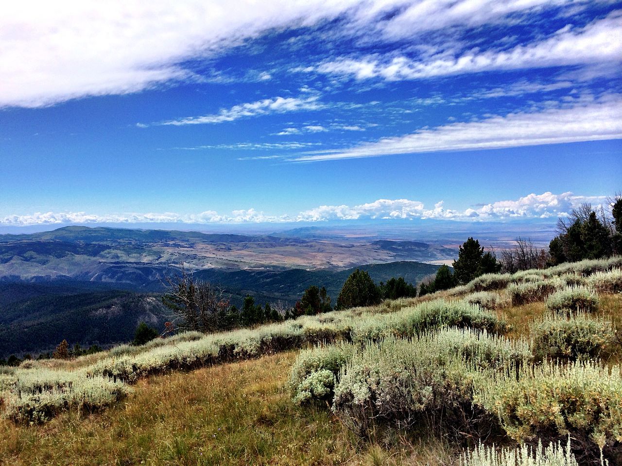 Mountain sagebrush steppe in the Big Belt Mountains near Townsend, Montana, showing the landscape character of the encounter area