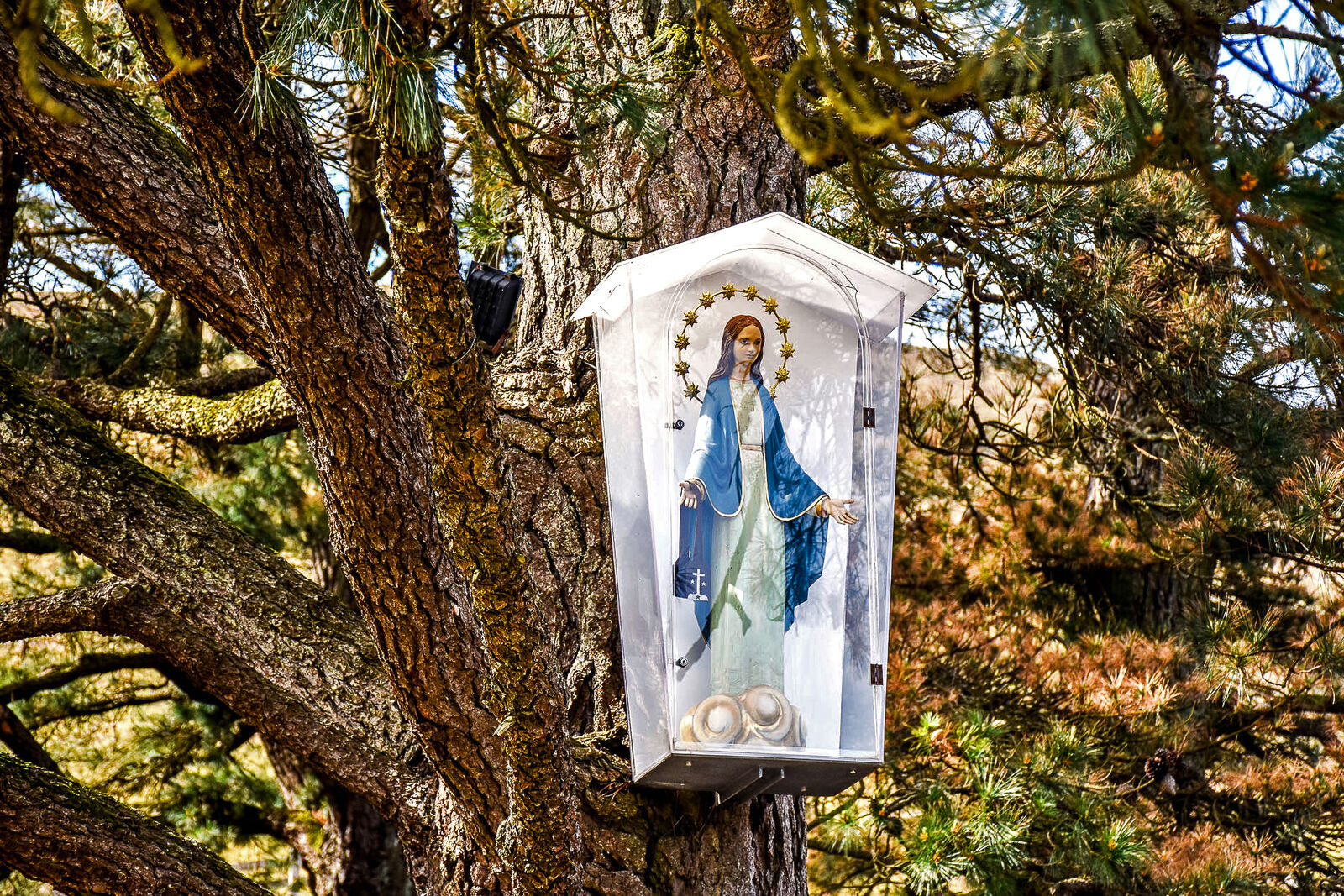 Los Pinos — the pine grove site above the village where the four girls reported the encounters